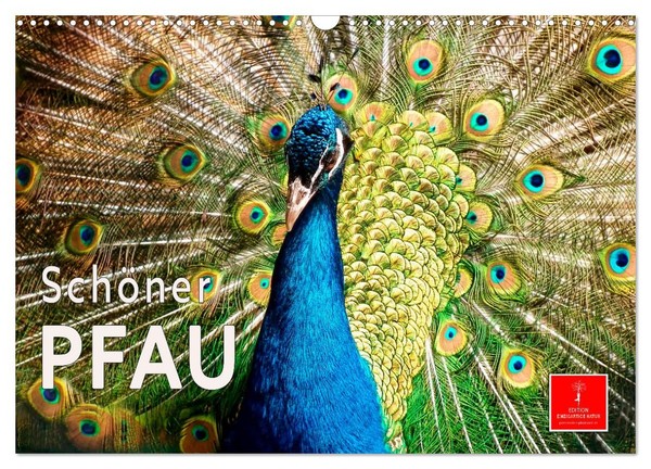 "Calendar 2027 · US Version · Beautiful Peacock (Wall Calendar 2027 17\" × 12\" Lan"-image