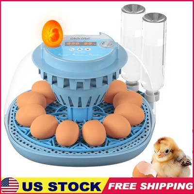Automatic Egg Incubator Temperature Control Humidity Dual Bottles 12 Eggs New