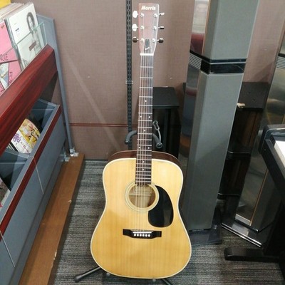 Morris Akustikgitarre W-20 gebraucht