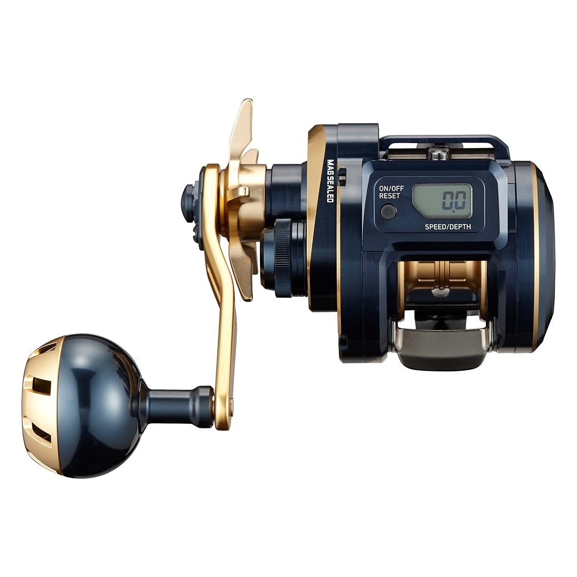 Daiwa 21 SALTIGA IC 100L Baitcasting Fishing Reel | eBay