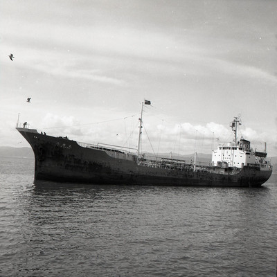 maruページ IJN Auxiliary Cruiser HOUKOKU MARU 1941/1942 | HLJ.com
