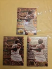 1995-96 Fleer Metal - Michael Jordan #13 3 Card Lot, 2 Bronze, 1 Silver. Mint