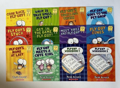 Fly Guy Phonics Children's Books Beginning Readers Lot 12