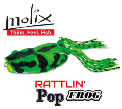 Molix Rattlin' Pop Frog -Cousin of the Supernato Frog (#525 Poison Dart Frog)