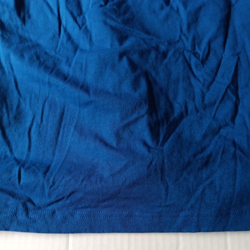 CARHARTT Reel American Nolin Lake Moutardier Marina KY LOOSE FIT LOGO T-SHIRT L - 第 4/18 張圖片
