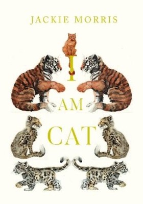 Jackie Morris I am Cat (Gebundene Ausgabe) (US IMPORT)