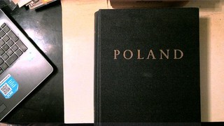 POLAND COLLECTION IN MINKUS ALBUM EARLIES ON INCL BOB MINT/USED