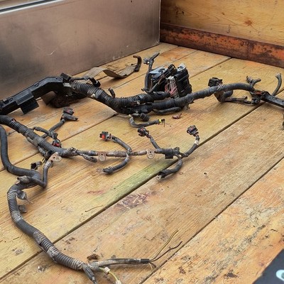 Wire Harness