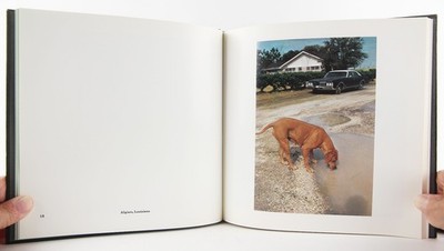 William Eggleston's Guide 1st Edition 1976 MoMA Color Photography