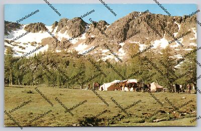 Vintage Postcard Coral Lake Camp In The Primitive Cascade Mountains Washington