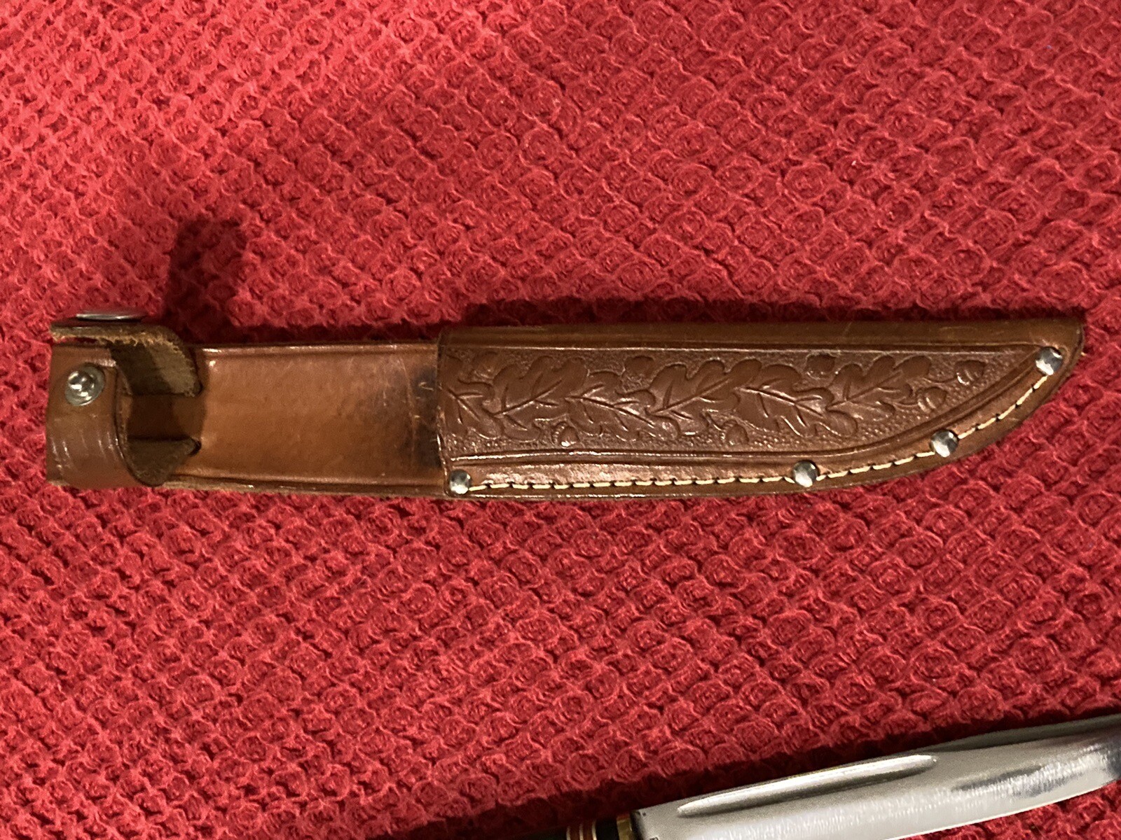 Western Boulder P48A Fixed Blade Knife eBay