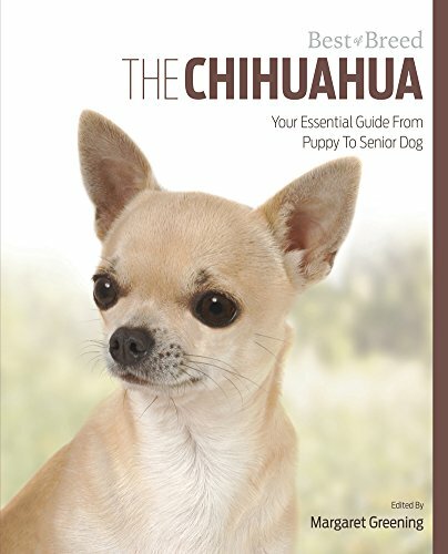 The Chihuahua: Your Essential Guide From Puppy To Senior Dog (Be