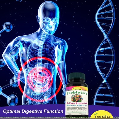 Probiótico Con Enzimas Digestivas   Doble Acción Para Tu Bienestar Completo