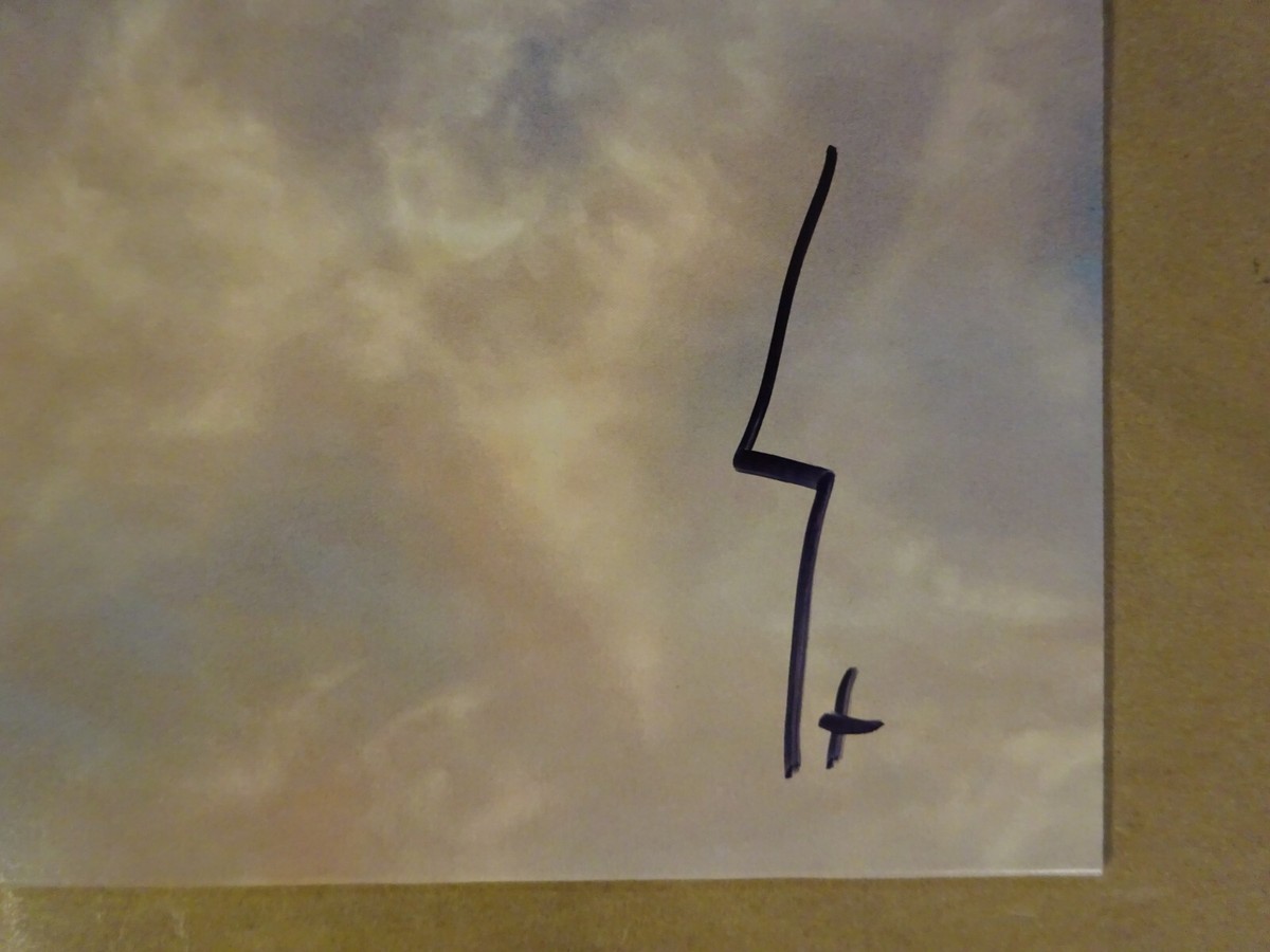 Signed Thirty Seconds To Mars Autographed Album Cover