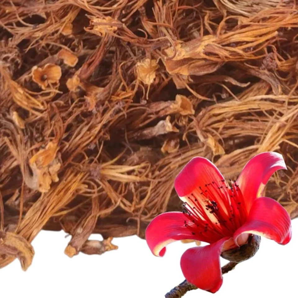 NUEVO Árbol Flores de Algodón Rojo Seco Dok Ngiaw Norte de Tailandia 120 g. Alimentos Hierbas TH Foto 2 de 4
