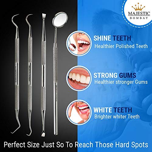 Dental Hygiene Tool Set - Stainless Steel Dental Tooth Pick, Mouth Mirror,Tarter - Picture 4 of 7