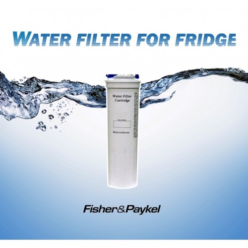 GENUINE FISHER & PAYKEL FRIDGE WATER FILTER 836848 WF306G E402B, E442B