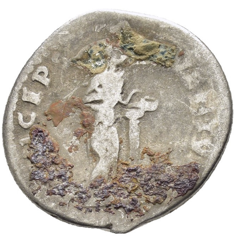 Roman Silver Denarius - Rome 81-96 AD - Domitian and Salus with Snake - Picture 3 of 4