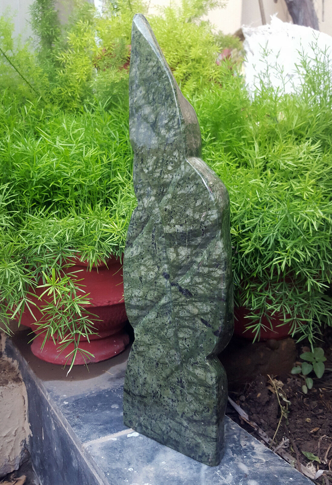 Picture 6 of 11