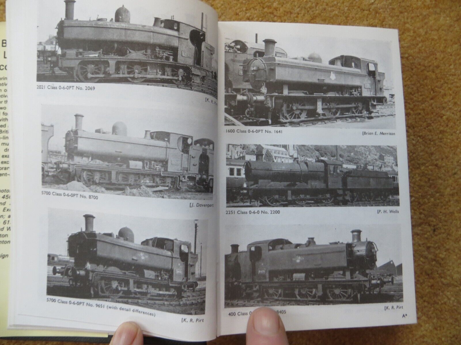 Picture 4 of 19
