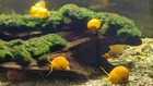 Foto 3 di 8