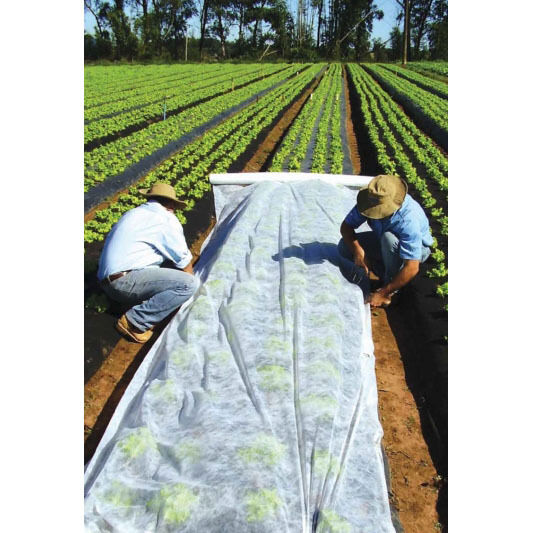 Gartenvlies 1,6/3,2x5-100m weiß Pflanzvlies weiß zur Abdeckung von Gemüsebeeten 