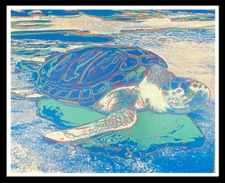 ANDY WARHOL - "SEA TURTLE" -SILKSCREEN (Screenprint)-  STUNNING PIECE