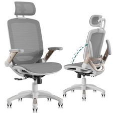 Ergonomic Office Chair, High Back Home Desk Chair with Headrest, Flip-Up Arms...