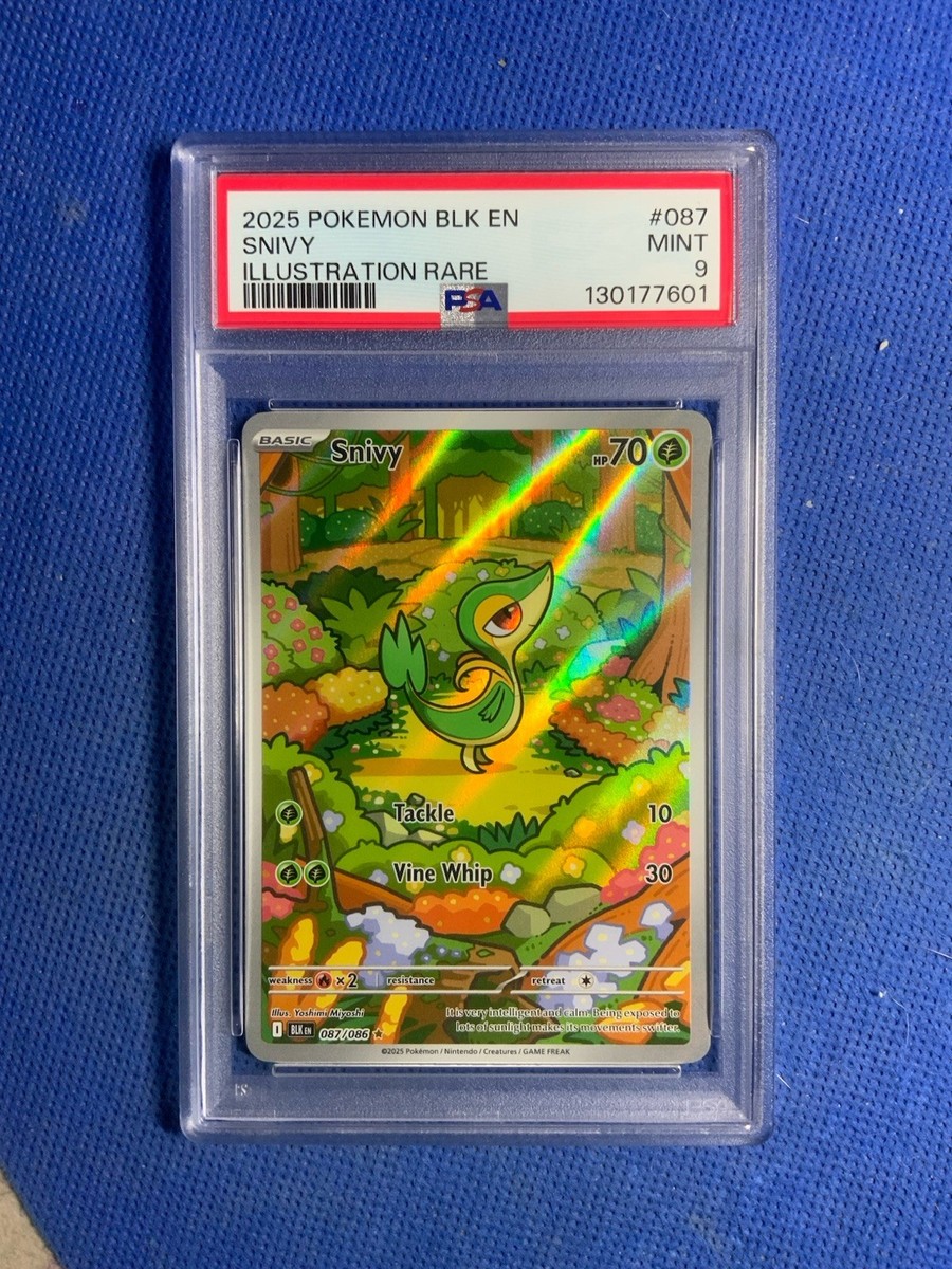 Snivy 087/086 Sv: Black Bolt Holo for sale online | eBay