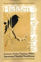 Hidden In Plain Sight | Ellis Amdur | Englisch | Taschenbuch | 2018