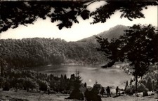 RPPC Lacul Sf Ana Tusnad Romania vintage postcard v408