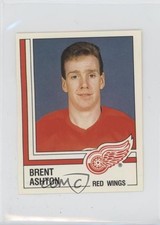 1987-88 Panini Album Stickers Brent Ashton #244 0y3
