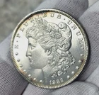 1889 $1 Morgan Dollar Stunning Lustrous High Grade Uncirculated!! C4