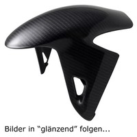 Carbon KotflüGel Vorne Ducati Streetfighter V4 2025- Schutzblech