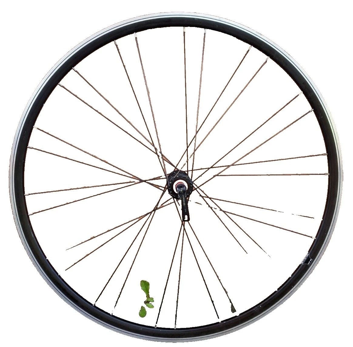 Ambrosio Bicycle Wheels & Wheetsets