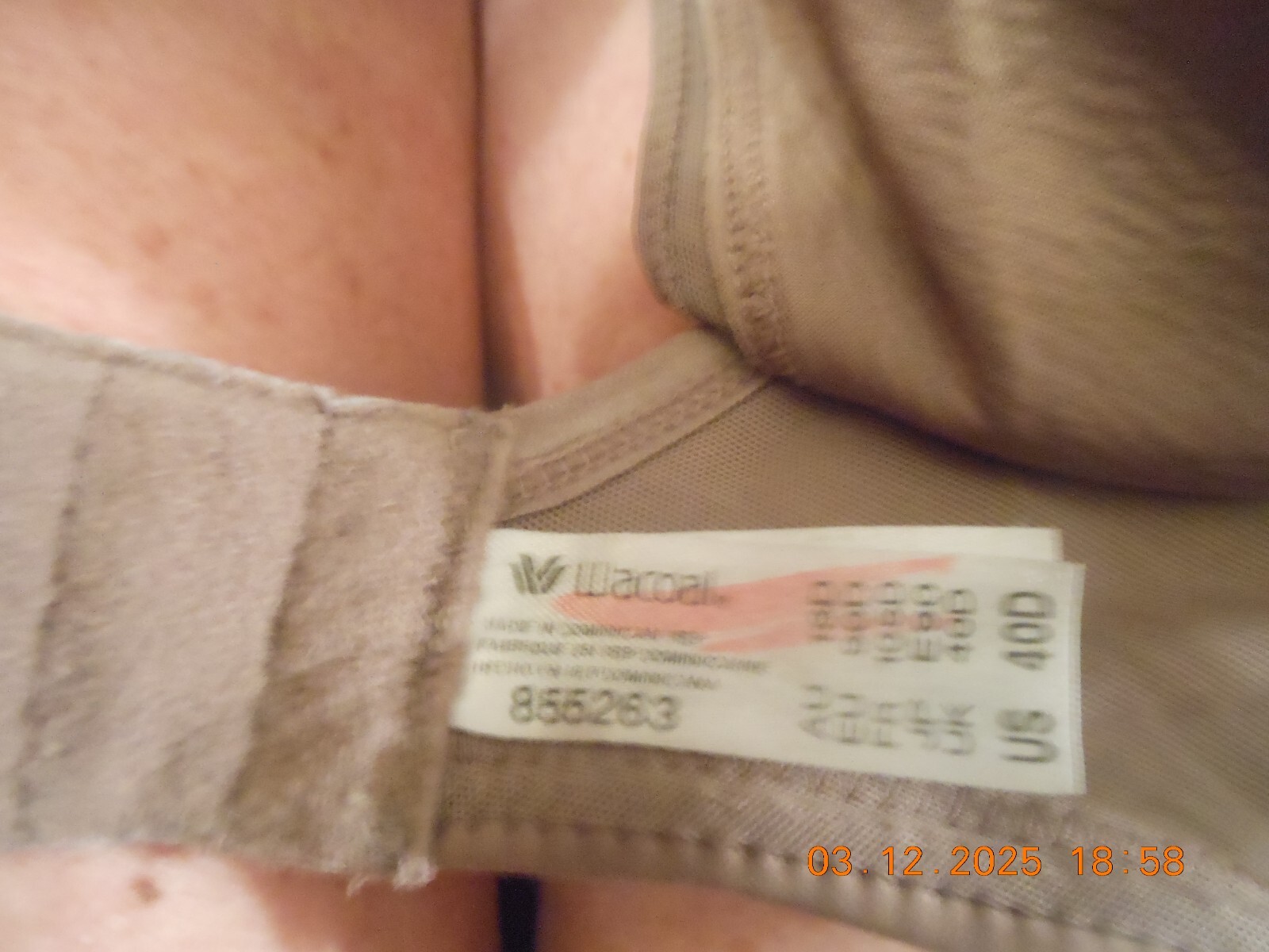 Imagen 3 de 3