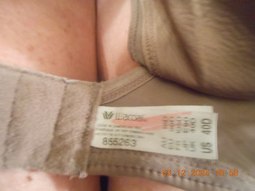 F - WACOAL / 40D / #855263 / SIN ALMOHADILLA / SIN FORRO / CORREA ANCHA / ALAS LISAS / - Imagen 3 de 3