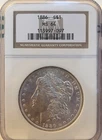 1886 P NGC MS64 Morgan Silver Dollar