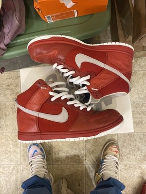Nike Dunk Be True