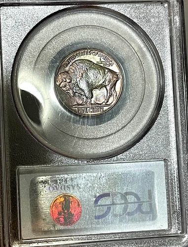 1934 Buffalo Nickel PCGS MS65 - Beautifully Toned!!