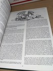 Bild 14 von 16