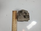 Foto 6 di 7
