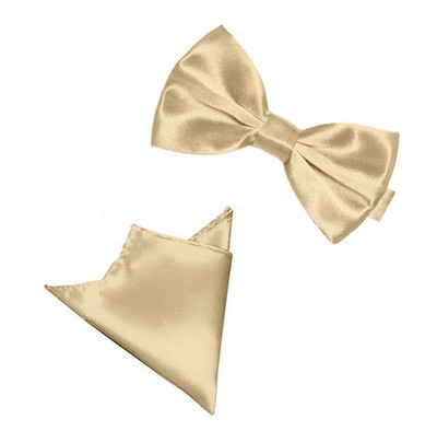 PABLO CASSINI Fliege Einstecktuch Set beige-taupe Satin Glanz Hochzeit NEU