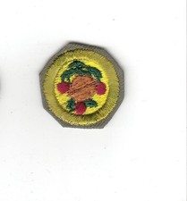 Merit Badge Fruit and Nut Growing Crimped - mint
