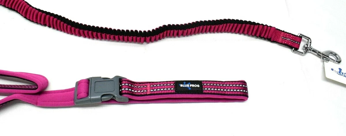 Frog snap dog leash hot sale