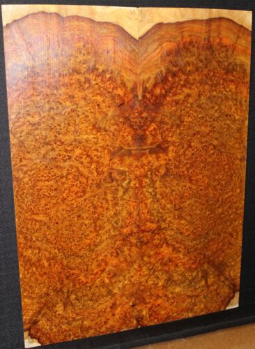 Tapa de guitarra Amboyna Burl Book a juego. Alijo personal, impresionante conjunto. - Imagen 2 de 9