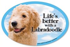 Life's Better with a Labradoodle 6" x 4" Oval Dog Magnet for Cars and more
