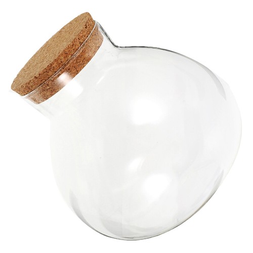 Korkenversiegelt Mehrzweck -Landschaftsflasche Glasterrariumpflanzer - Bild 5 von 12