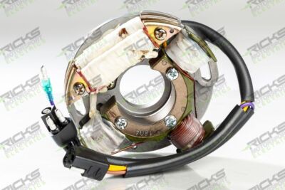 Ricks Stator For Arctic Cat Z 440 1995-1998
