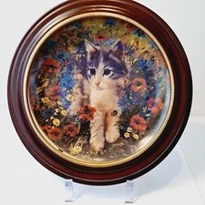 “Felix Erstes Abenteuer” Bradex Nummer 7 3/4” Collector Plate EUC in frame